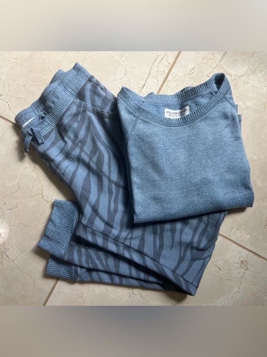 Karen Neuburger Other - Karen Neuburger Soft 2-Piece Long Sleeve Shirt and Pants Lounge Set Blue Zebra